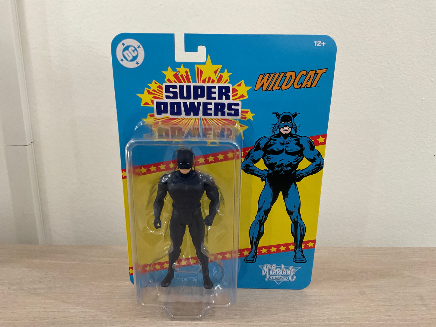 DC Super Powers Wildcat 4 1/2-Inch Scale Action Figure