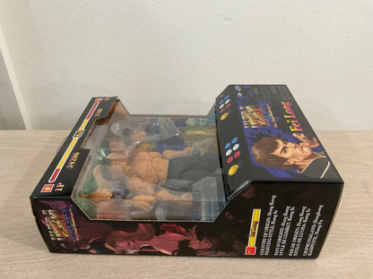 Street Fighter Fei Long 6-In Action Figure Jada Toys