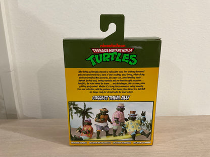 NECA Teenage Mutant Ninja Turtles Vacation Raphael 7" Action Figure
