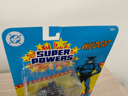 DC Super Powers Wildcat 4 1/2-Inch Scale Action Figure Substandard Card