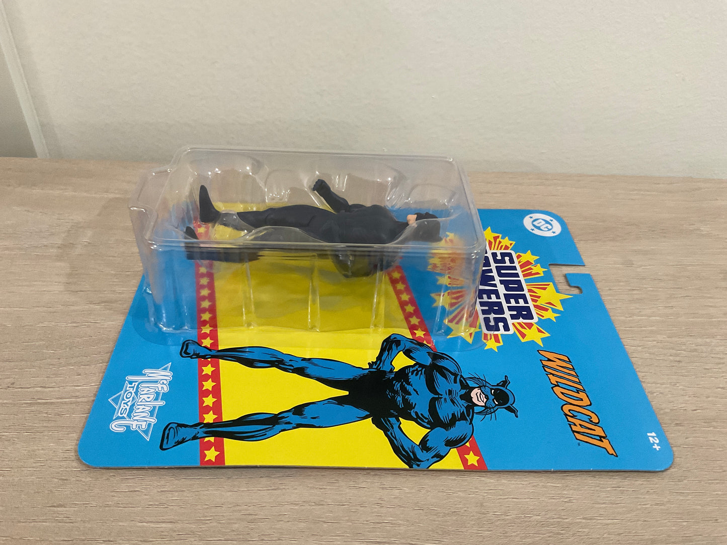 DC Super Powers Wildcat 4 1/2-Inch Scale Action Figure