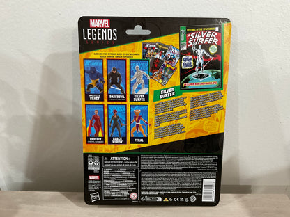 Marvel Legends Series Silver Surfer (6-Inch Action Figure)