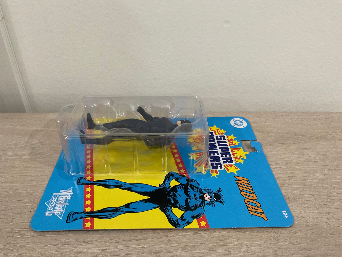 DC Super Powers Wildcat 4 1/2-Inch Scale Action Figure Substandard Card