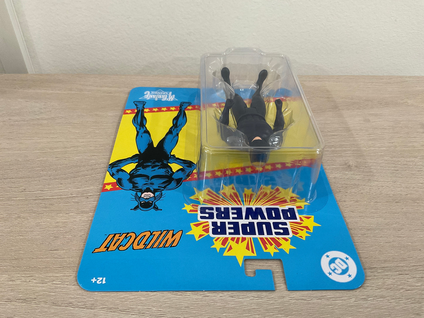 DC Super Powers Wildcat 4 1/2-Inch Scale Action Figure