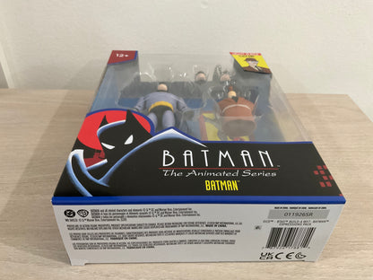 McFarlane DC Direct BTAS Batman Expressions Pack Wave 7 Build-A-Figure 6-Inch (Substandard Card)